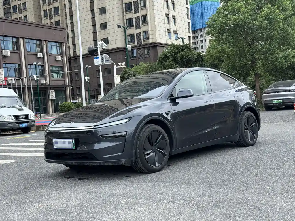 Model Y 2025 rear-wheel drive version купить на сайте DeffCars