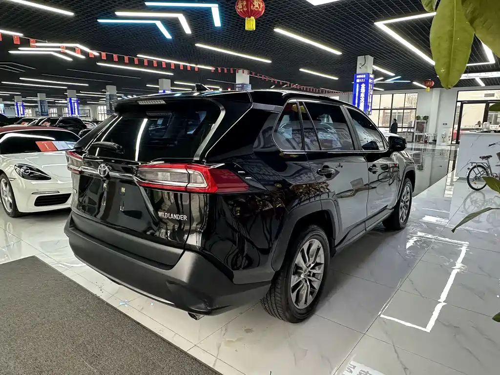 Wilanda 2023 2.0L CVT two-wheel drive leading version купить на сайте DeffCars