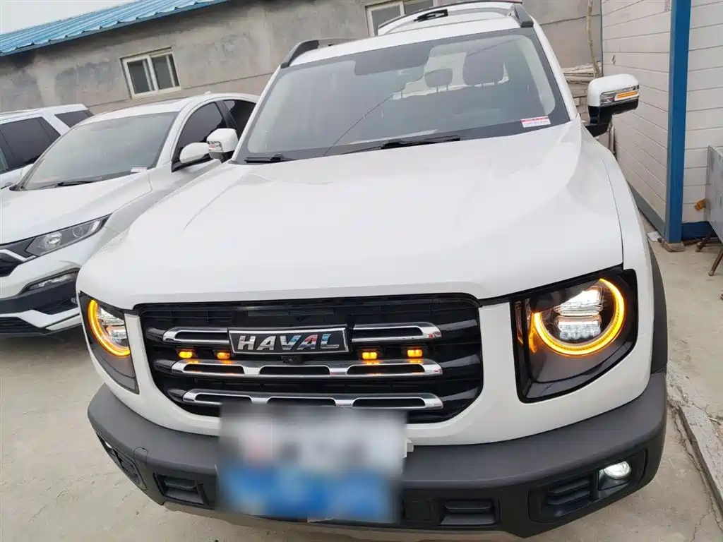 Havaldog 2021 1.5T DCT two-wheel drive Labrador version купить на сайте DeffCars