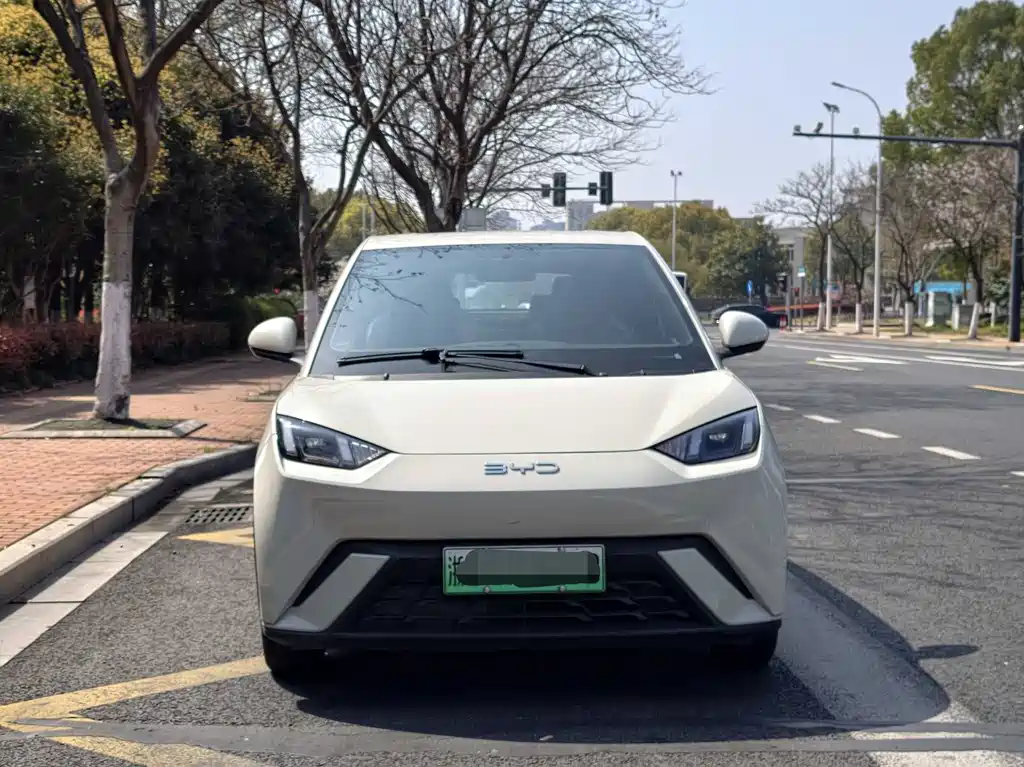 Seagull 2024 Honor Edition 305km Free Edition купить на сайте DeffCars