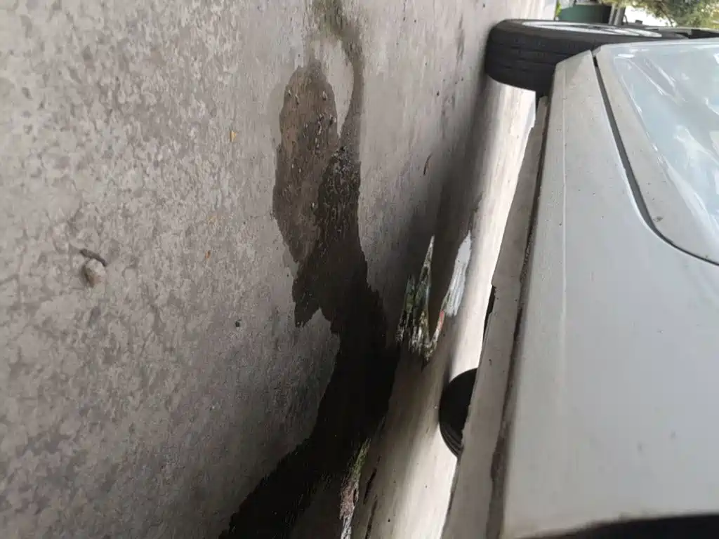 Panda 2025 Panda mini 210km Yuanqi Bear купить на сайте DeffCars