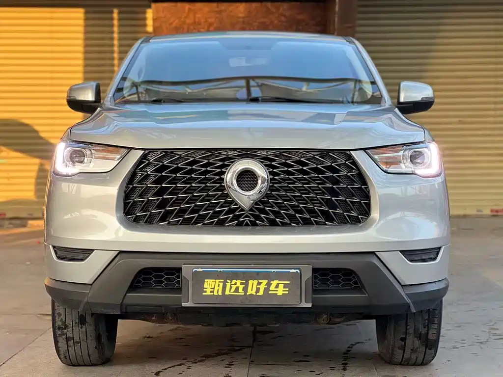 Cannon 2021 2.0T commercial version automatic diesel two-wheel drive elite standard box GW4D20M купить на сайте DeffCars