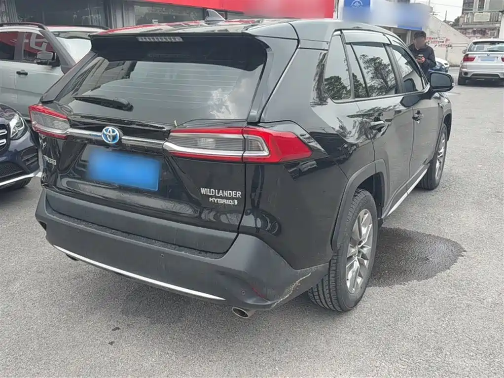 Wilanda 2020 Dual Engine 2.5L E-CVT Two-wheel Drive Deluxe Edition купить на сайте DeffCars