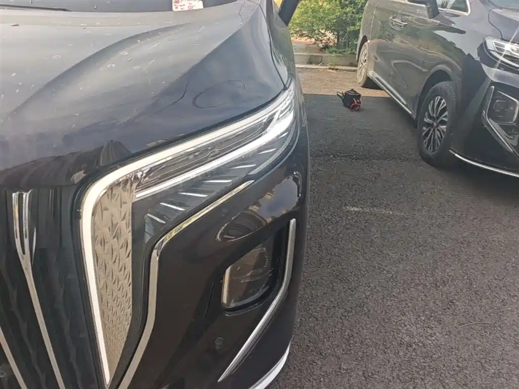 Hongqi HQ9 PHEV 2024 2.0T four-wheel drive business version купить на сайте DeffCars