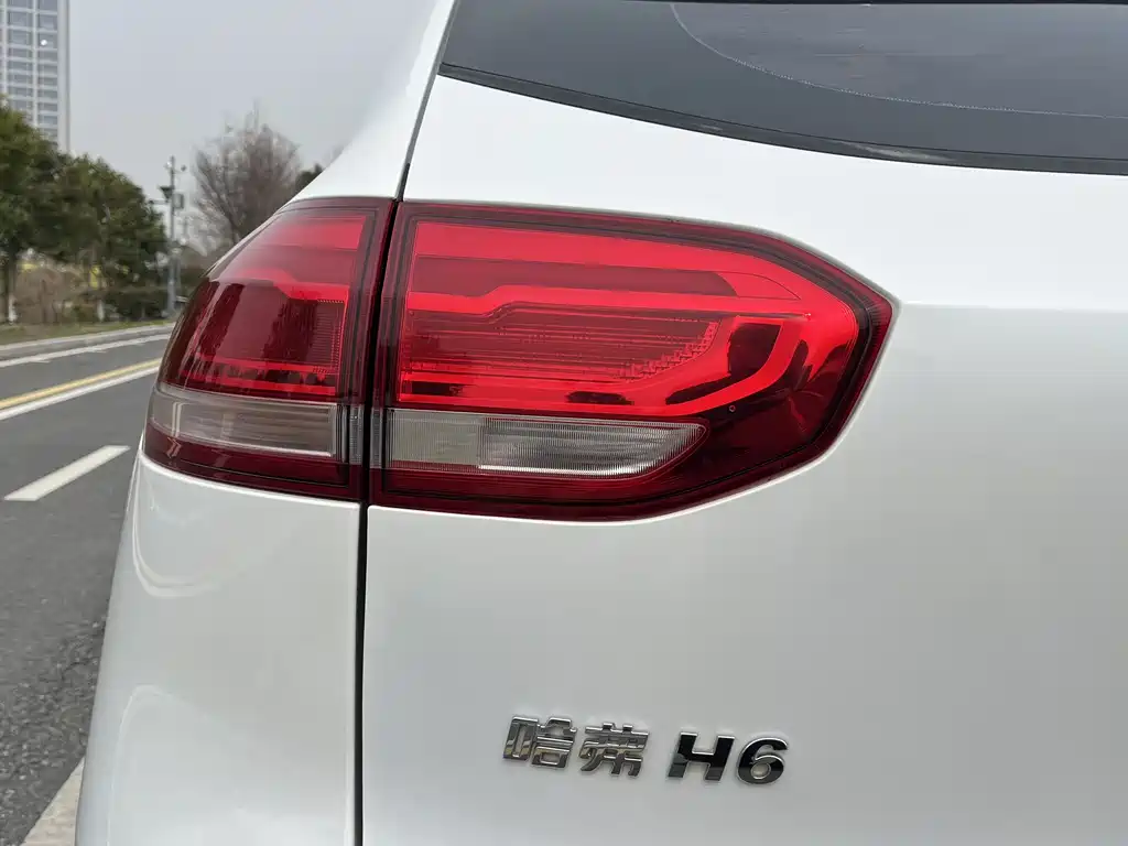 Haval H6 2017 facelift red label sports version 1.5T automatic two-wheel drive luxury model купить на сайте DeffCars