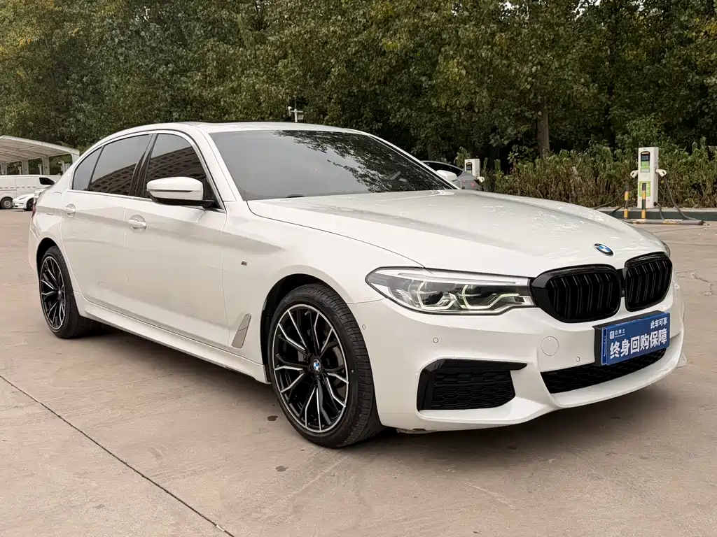 BMW 5 Series 2020 530Li Leading M Sports Package купить на сайте DeffCars