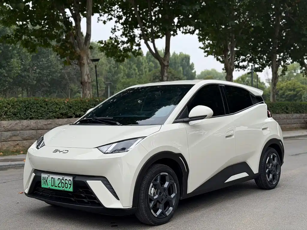 Seagull 2025 model 305km free version купить на сайте DeffCars