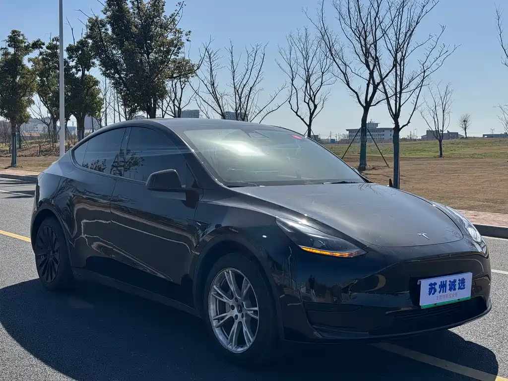 Model Y 2022 rear-wheel drive version купить на сайте DeffCars