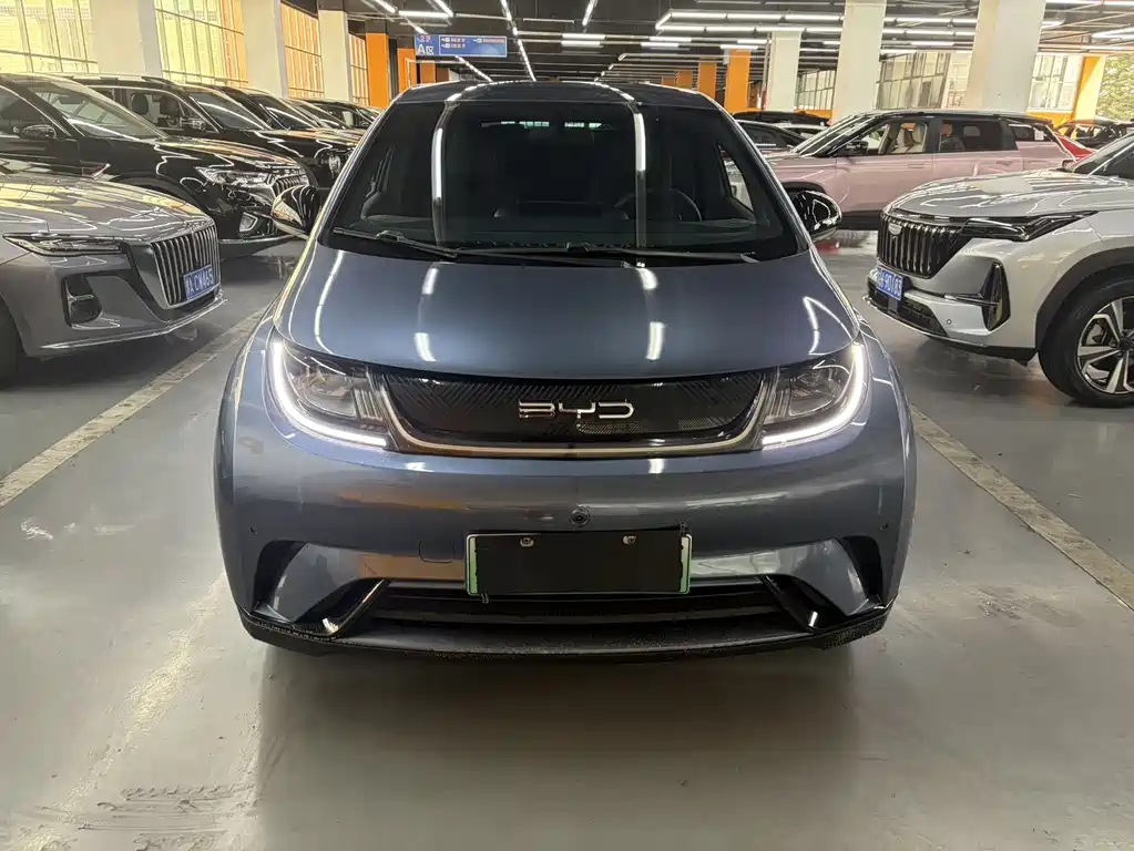Dolphin 2025 420km Free Edition купить на сайте DeffCars