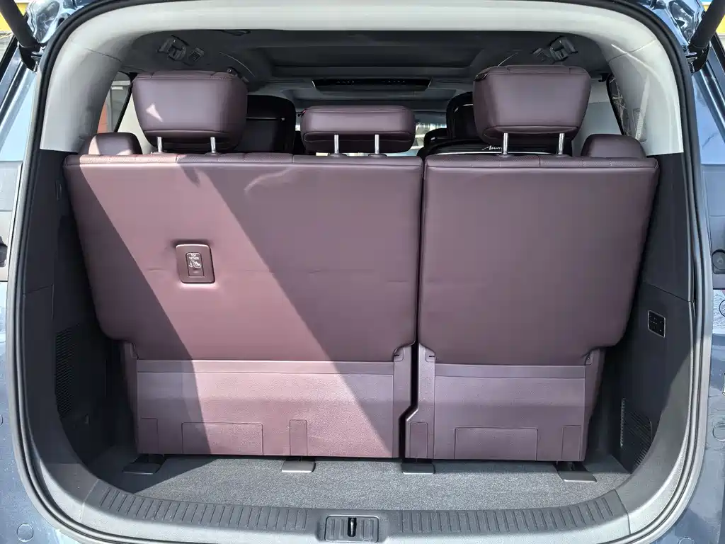 Century 2025 2.0T seven-seat Yuanshi Edition купить на сайте DeffCars