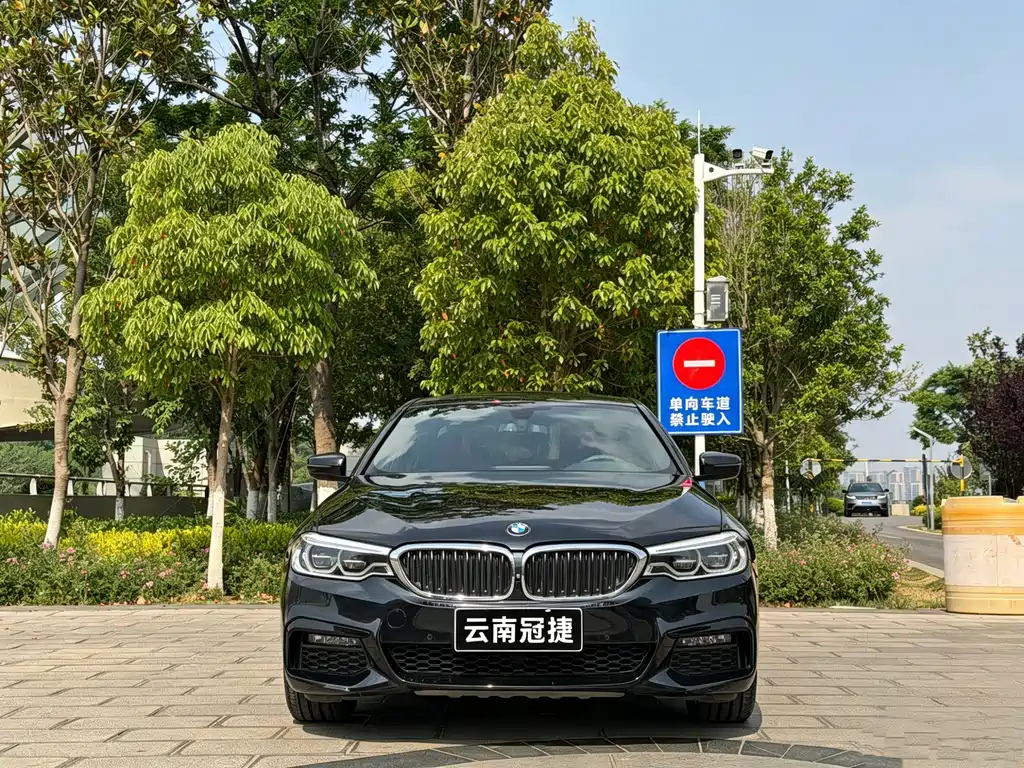 BMW 5 Series 2019 530Li Exclusive M Sports Package купить на сайте DeffCars