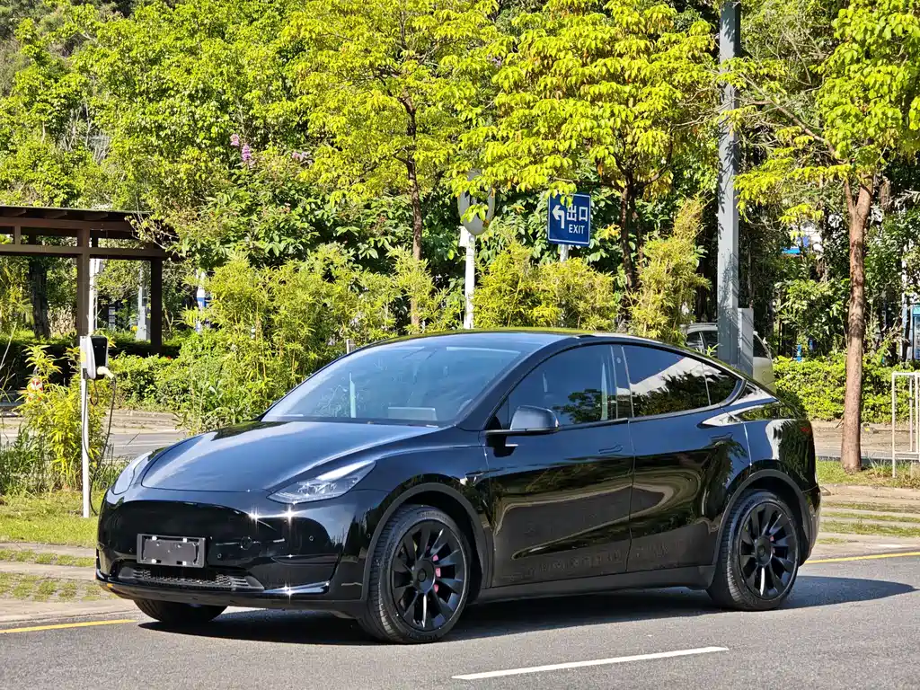 Model Y 2022 rear-wheel drive version купить на сайте DeffCars