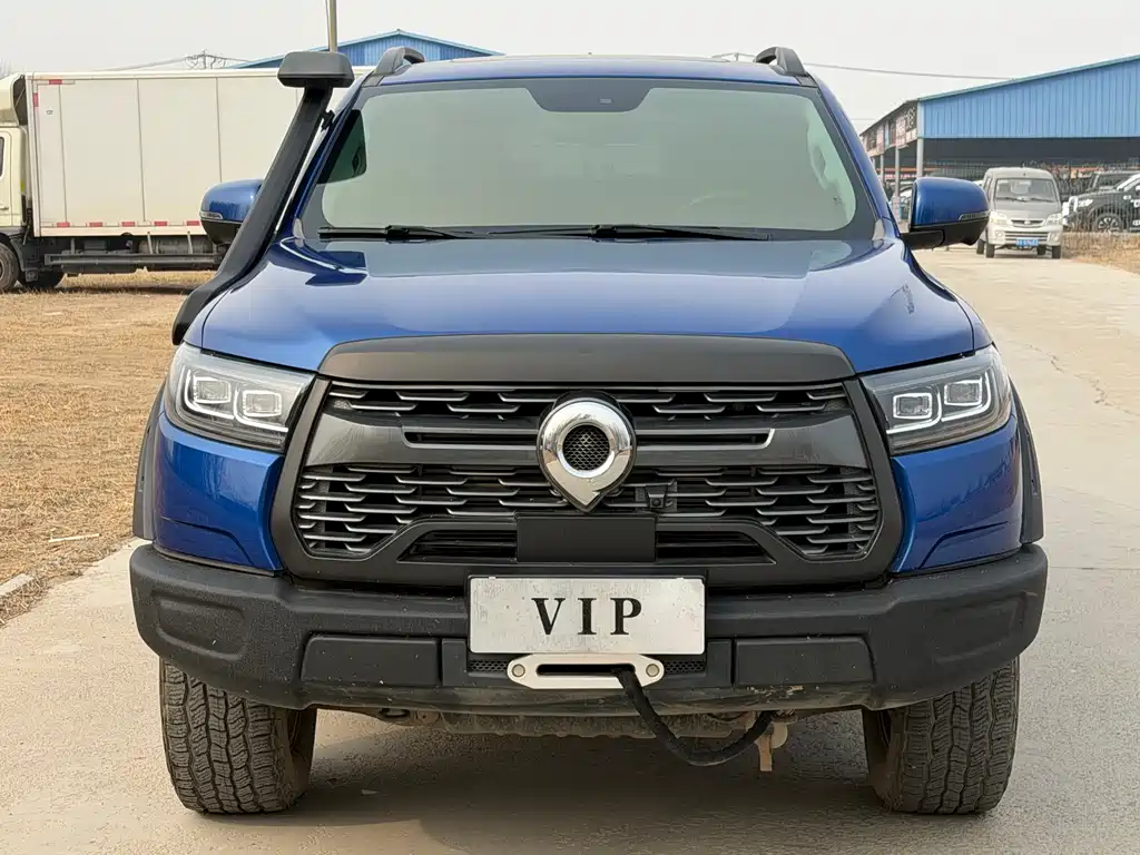 Cannon 2021 2.0T off-road version automatic gasoline four-wheel drive Everest version GW4C20B купить на сайте DeffCars