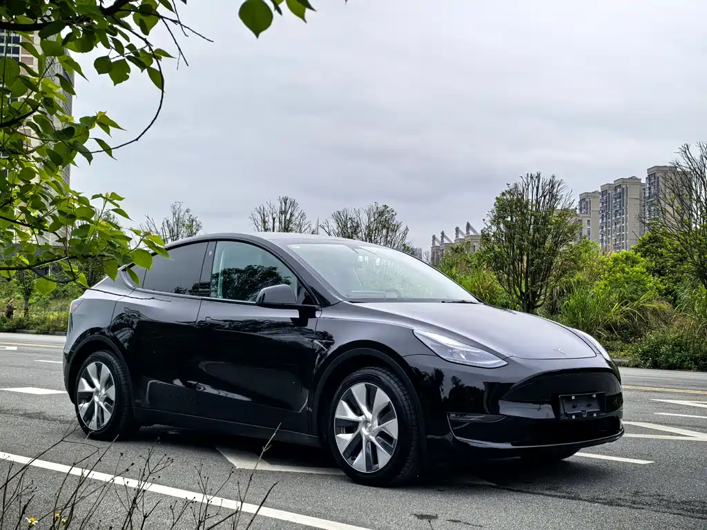 Model Y 2022 facelift, long-range all-wheel drive version купить на сайте DeffCars