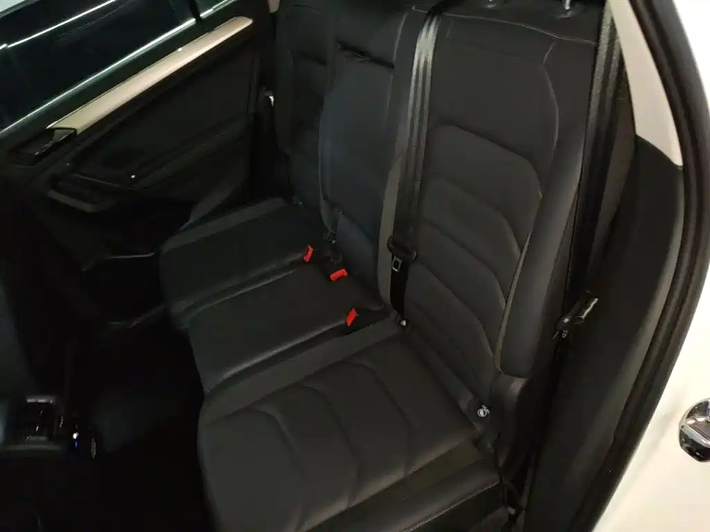 Tiguan L 2019 facelift 330TSI automatic two-wheel drive smart luxury version National VI купить на сайте DeffCars
