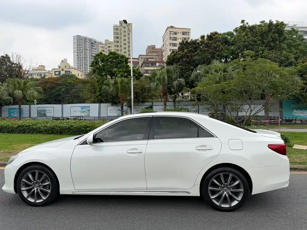 Ruizhi 2013 2.5V Shangrui version купить на сайте DeffCars