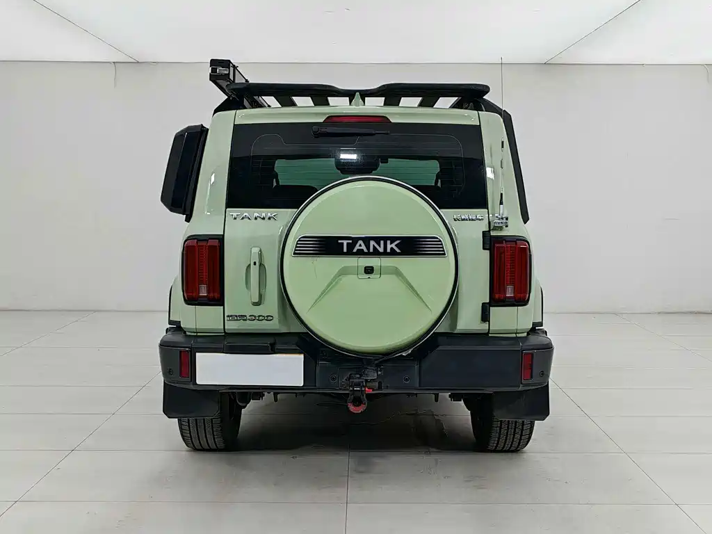 TANK 300 2021 City Edition 2.0T Very Stylish купить на сайте DeffCars