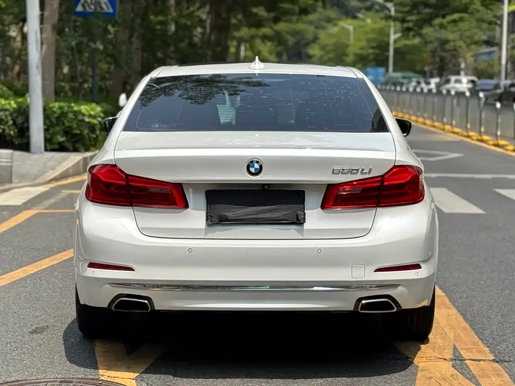BMW 5 Series 2020 530Li Exclusive Luxury Package купить на сайте DeffCars