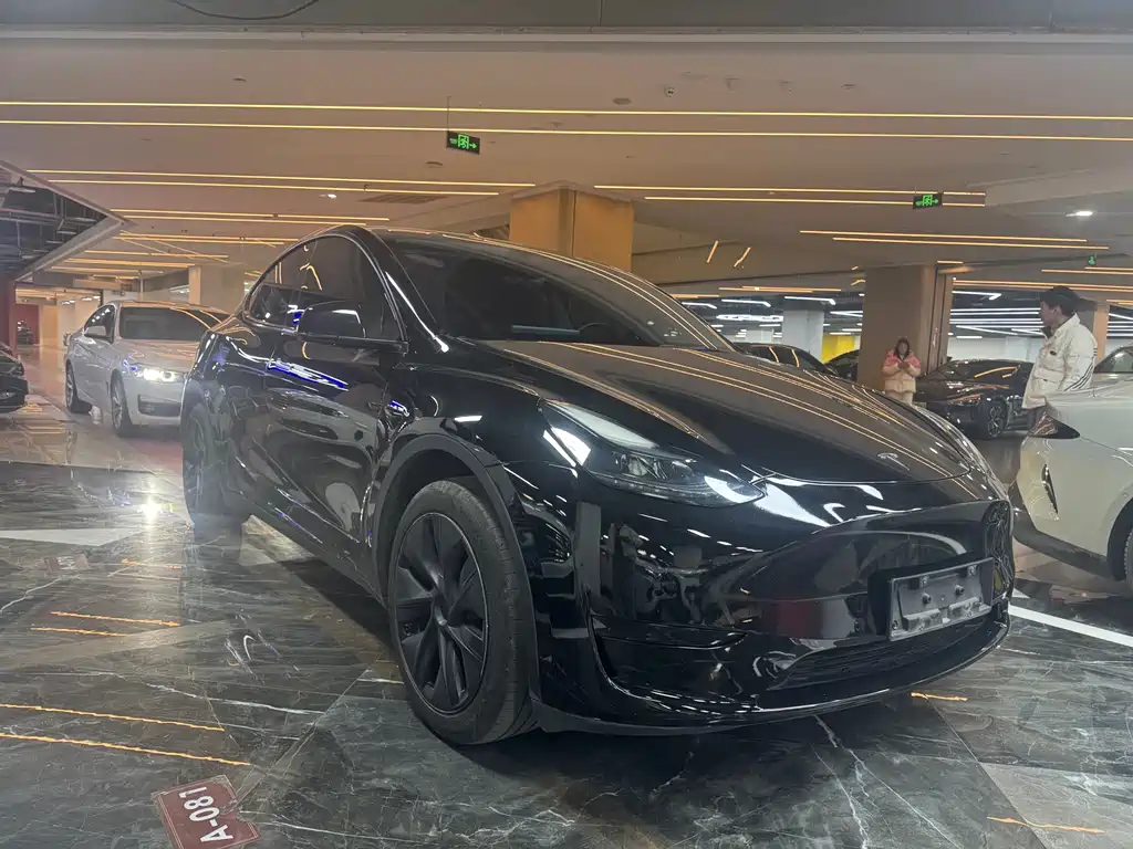 Model Y 2023 rear-wheel drive version купить на сайте DeffCars