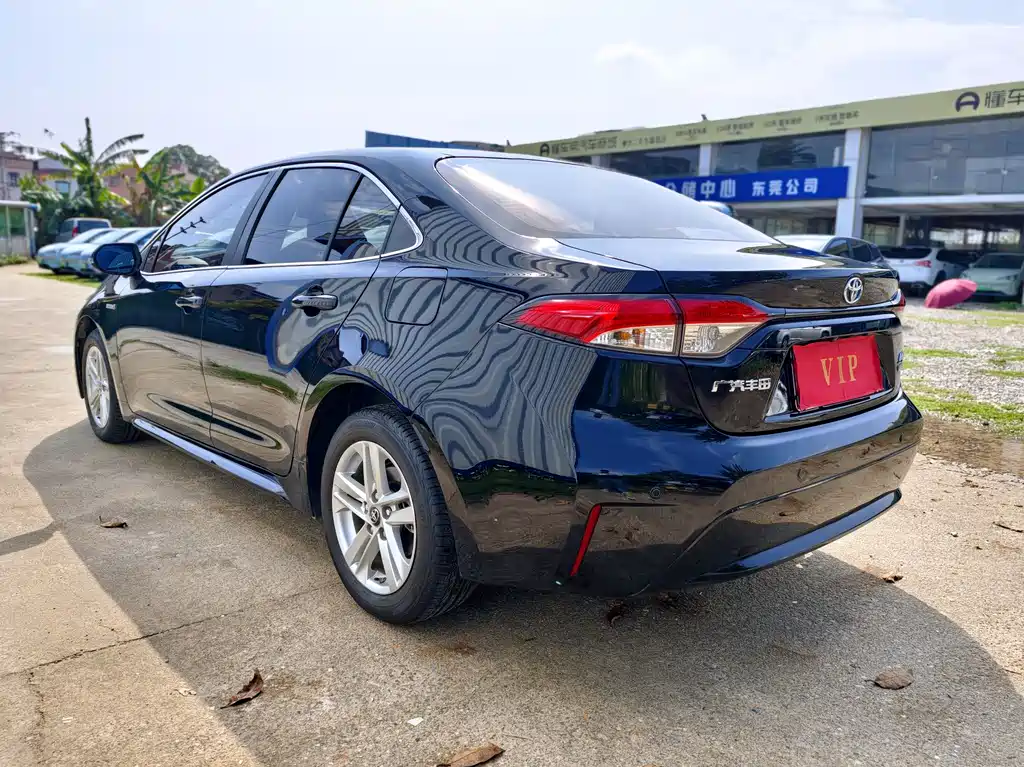 Ralink 2019 Dual Engine 1.8H E-CVT Deluxe Edition National V купить на сайте DeffCars