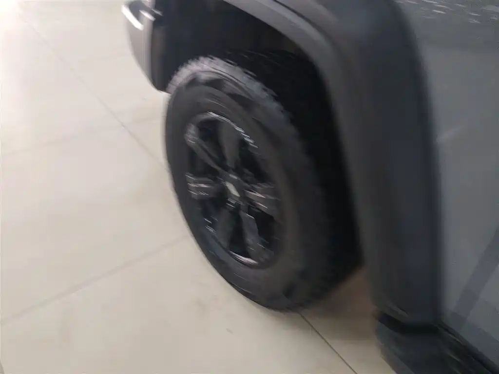 Tank 300 2021 Off-Road Version 2.0T Conqueror купить на сайте DeffCars