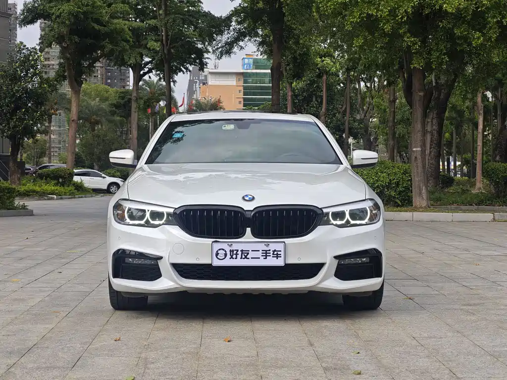 BMW 5 Series 2019 530Li Leading M Sports Package купить на сайте DeffCars