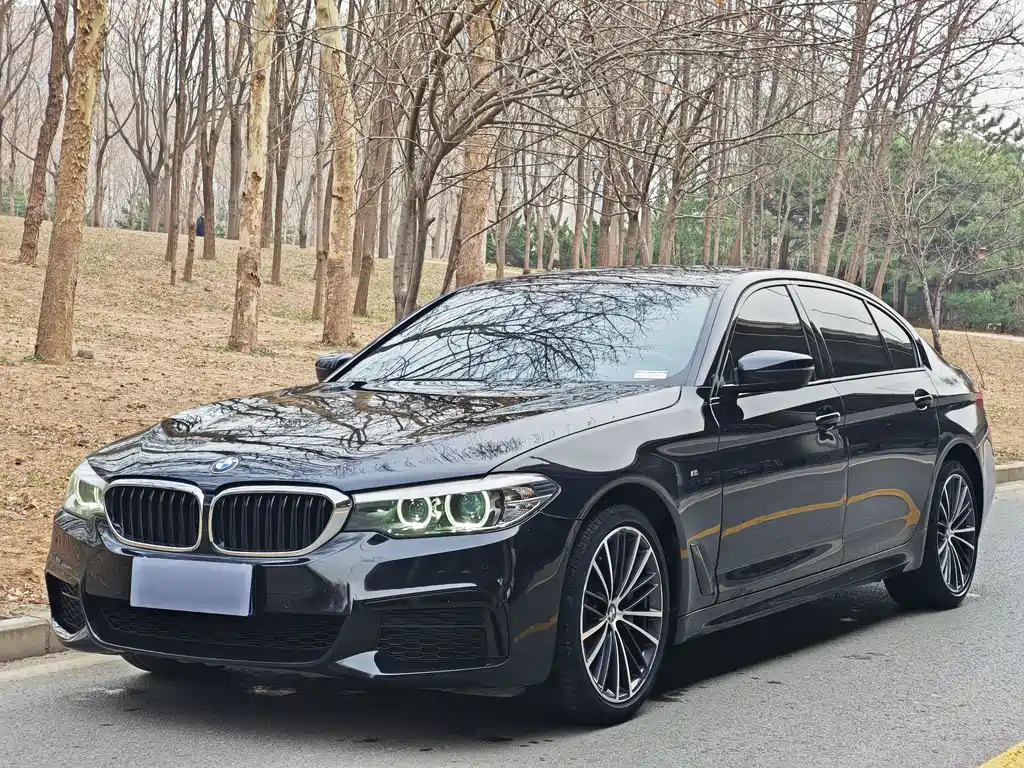 BMW 5 Series 2019 facelift 530Li leading M sports package купить на сайте DeffCars