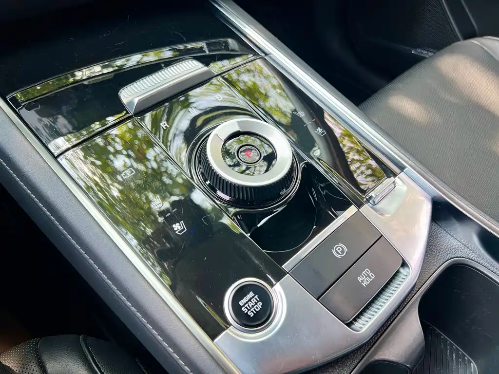 Lion Platinum expands the world 2023 2.0T two-wheel drive flagship version купить на сайте DeffCars