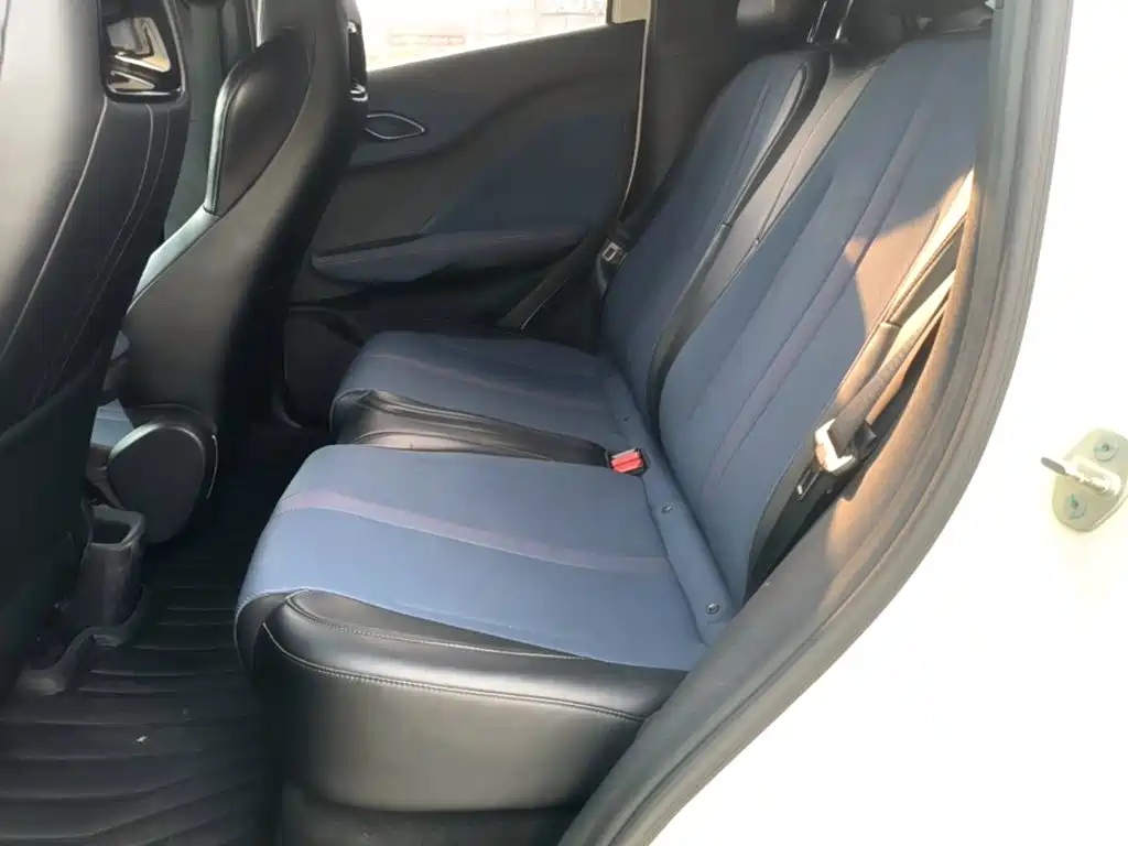 Seagull 2024 Honor Edition 305km Vitality купить на сайте DeffCars