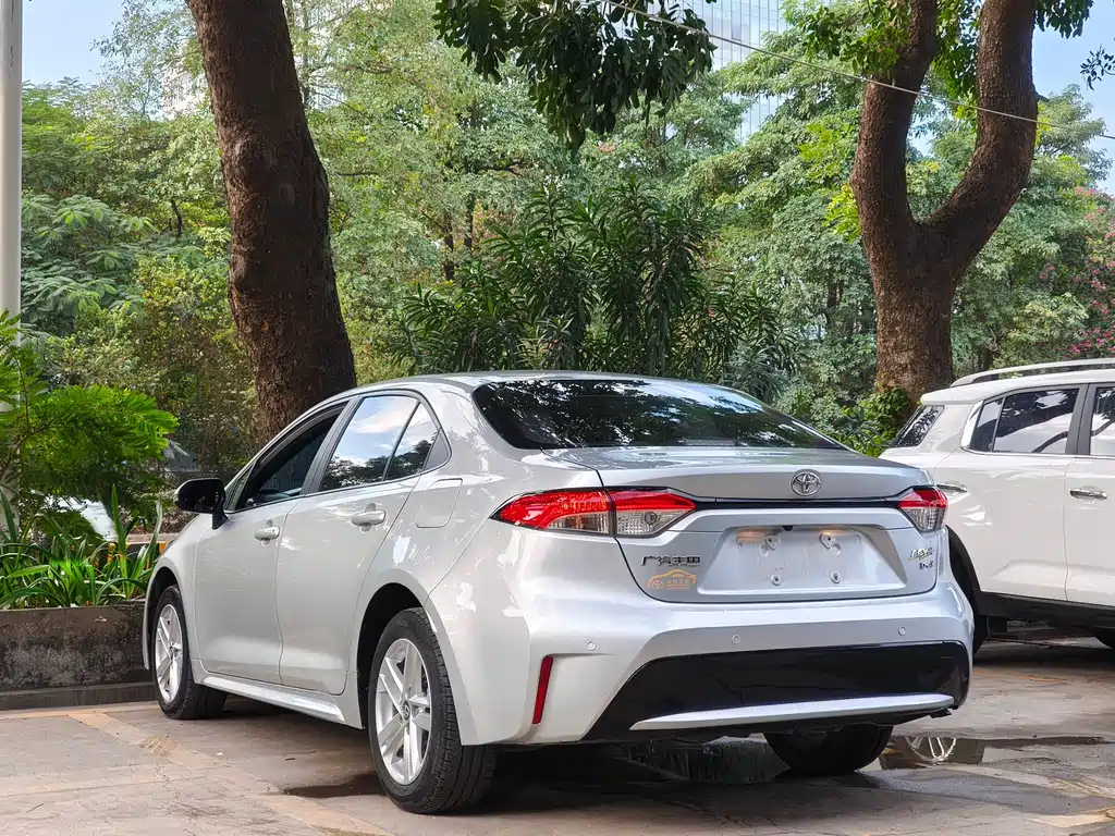 Ralink 2019 185T CVT Exclusive Edition National V купить на сайте DeffCars