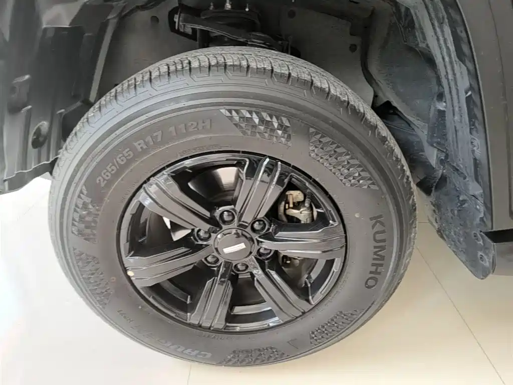Tank 300 2021 Off-Road Version 2.0T Conqueror купить на сайте DeffCars