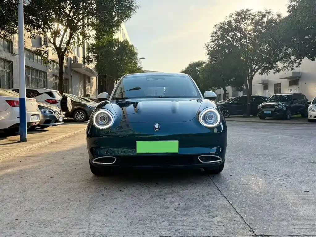 Euler Good Cat 2021 model 400km standard battery life Athena version ternary lithium купить на сайте DeffCars