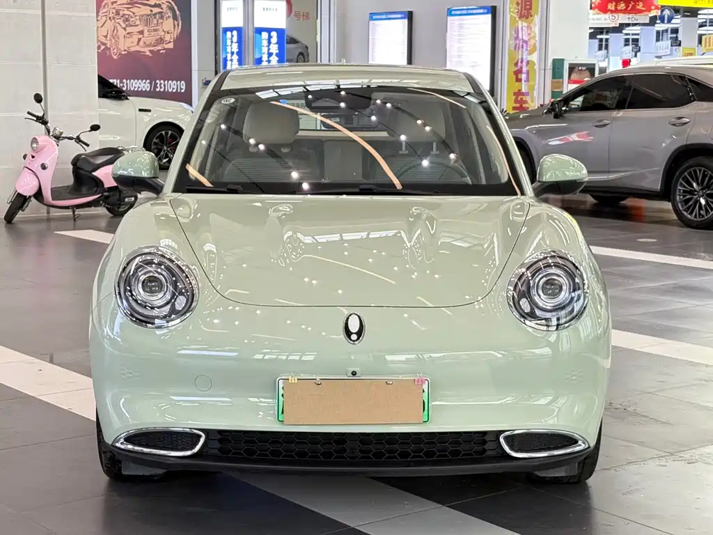 Euler Good Cat 2023 model 401km standard battery life luxury model lithium iron phosphate купить на сайте DeffCars