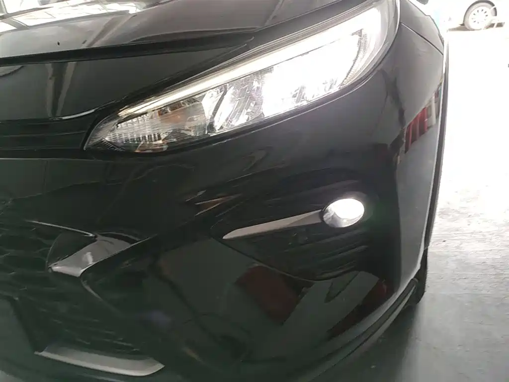 Wilanda 2020 2.0L CVT two-wheel drive luxury version купить на сайте DeffCars
