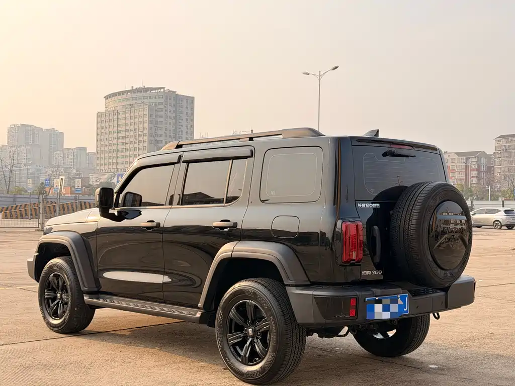 Tank 300 2024 2.0T Conqueror купить на сайте DeffCars