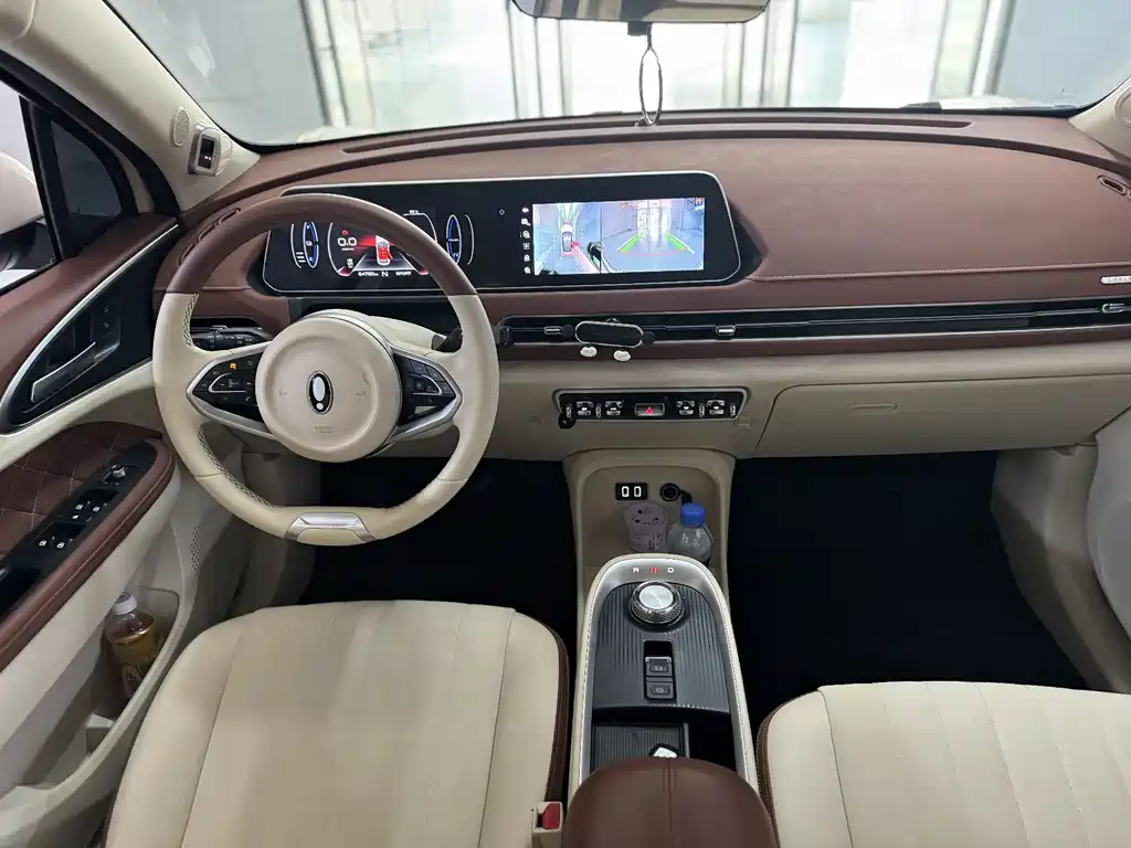 Euler Good Cat 2021 model 400km standard battery life Venus version ternary lithium купить на сайте DeffCars