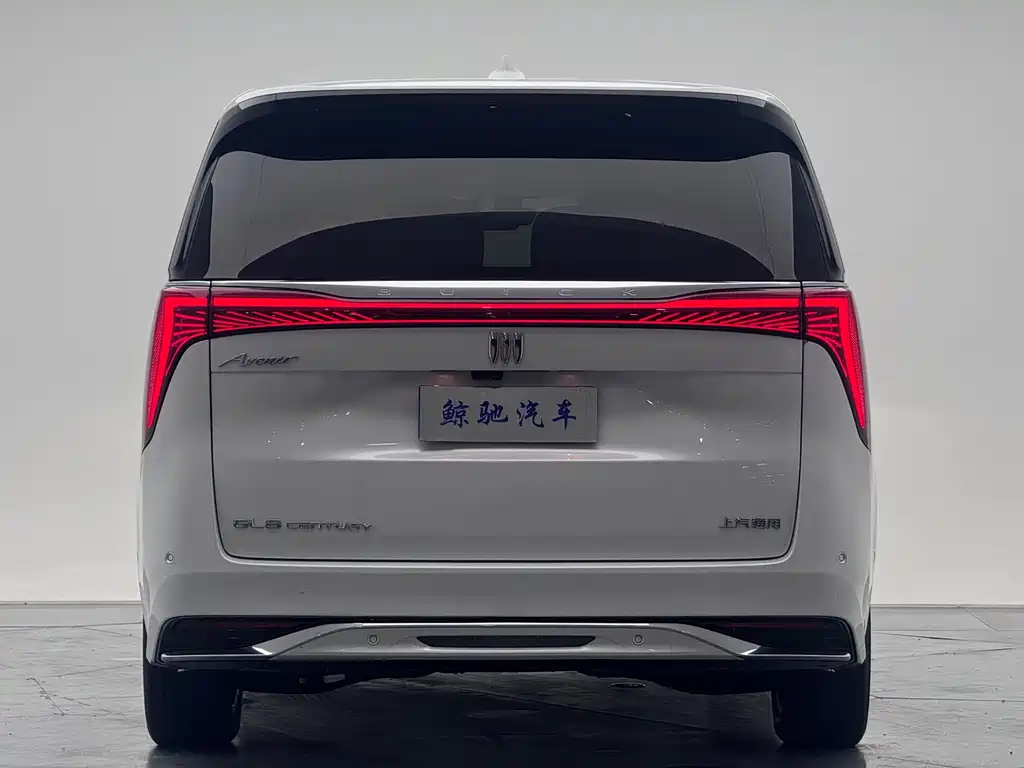 Century 2023 2.0T Six-seater Yuanshi Edition купить на сайте DeffCars