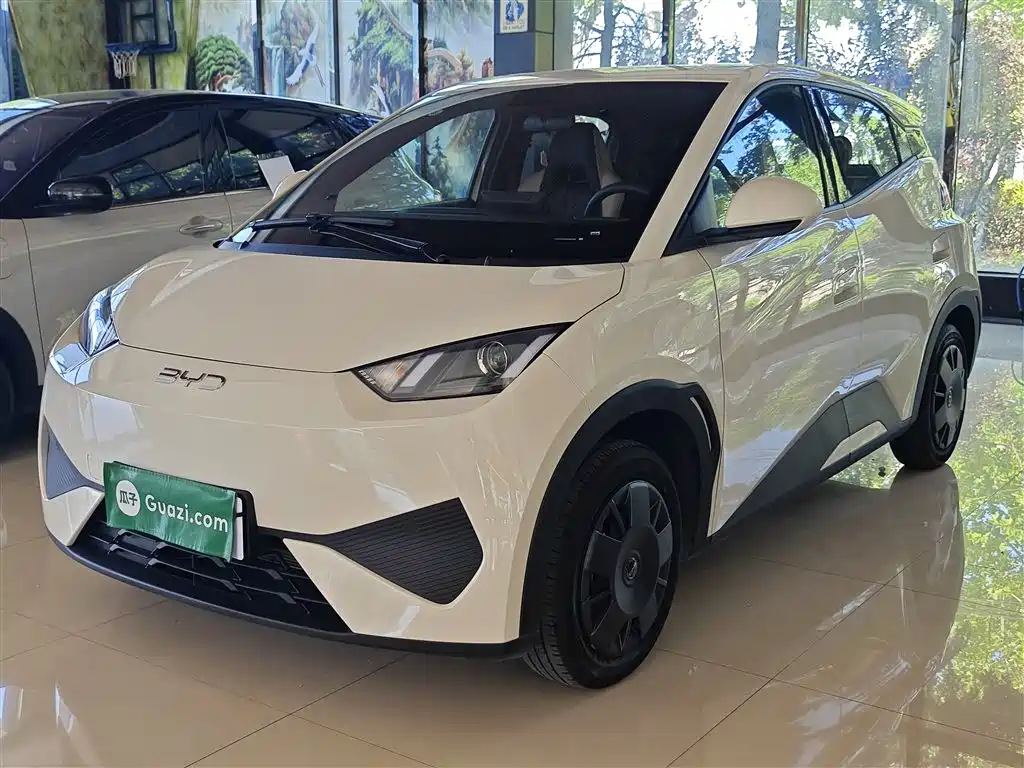 Seagull 2025 305km active version купить на сайте DeffCars