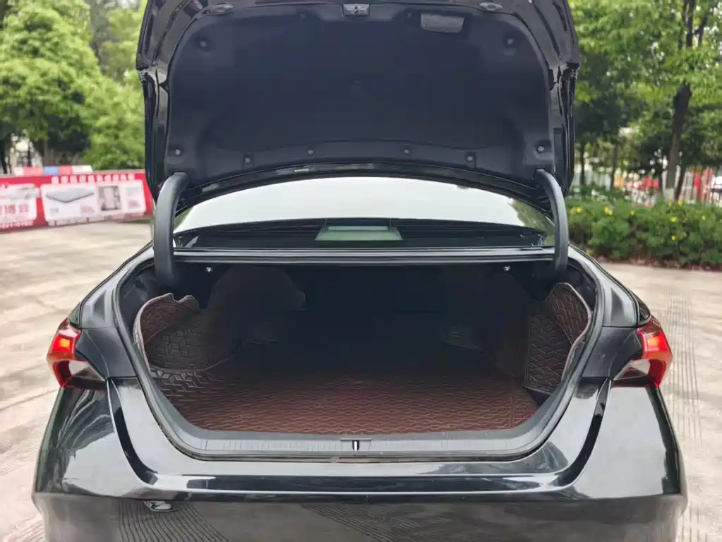 Asia Dragon 2019 2.0L Deluxe Edition National VI купить на сайте DeffCars