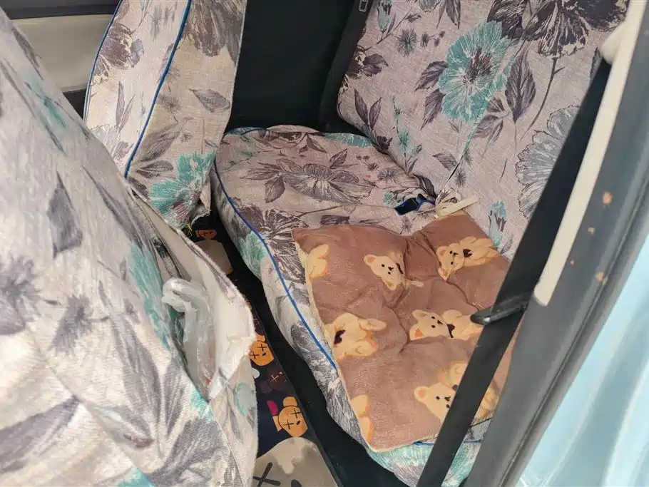 Hongguang MINIEV 2020 Relaxed Lithium Iron Phosphate купить на сайте DeffCars