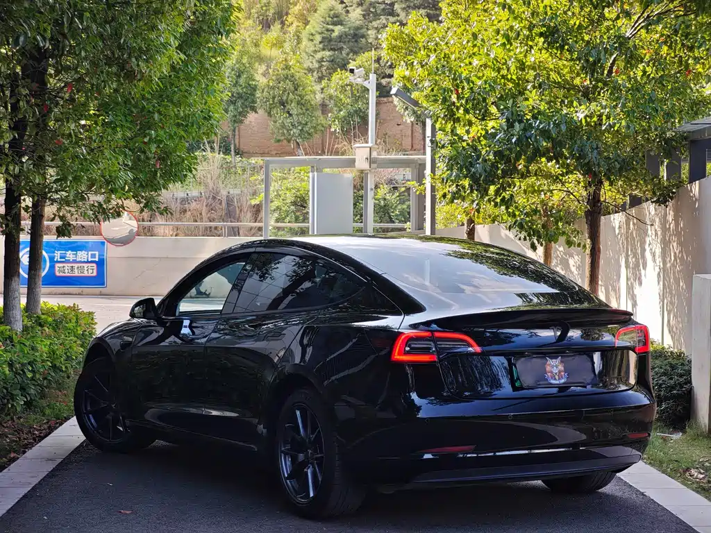 Model 3 2021 Standard Range Rear Drive Upgraded 3D6 купить на сайте DeffCars