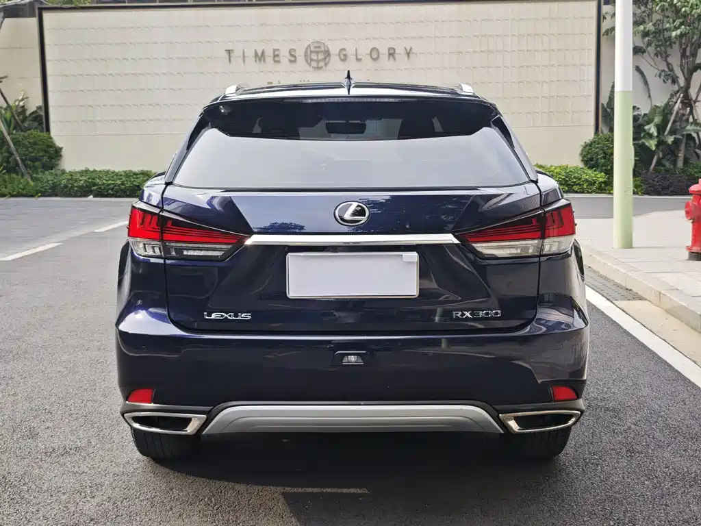 Lexus RX 2020 facelift 300 two-wheel drive elite version купить на сайте DeffCars