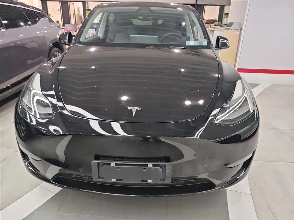 Model Y 2021 standard range rear-wheel drive version купить на сайте DeffCars