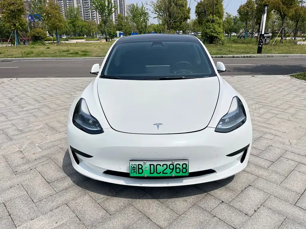 Model 3 2021 standard range rear drive upgraded version 3D6 купить на сайте DeffCars