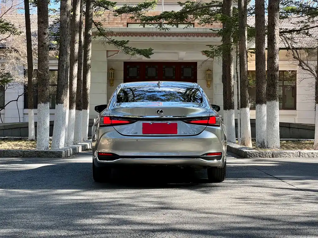 Lexus ES 2024 200 Premium Edition купить на сайте DeffCars