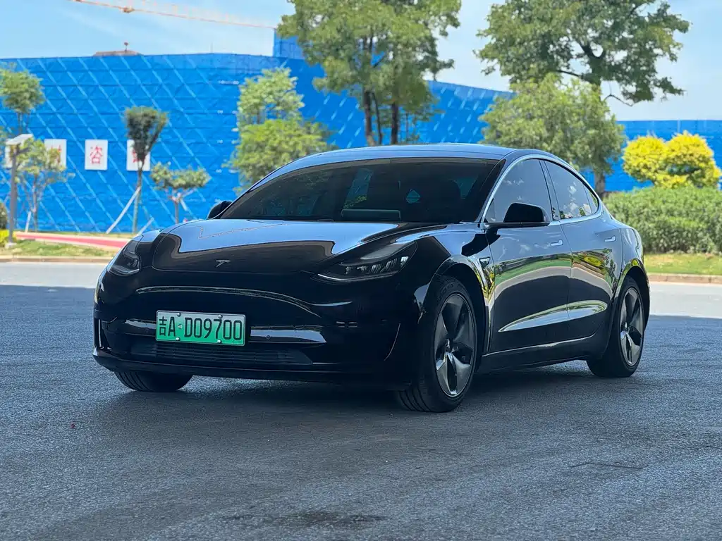 Model 3 2020 Standard Range Rear Drive Upgraded Version купить на сайте DeffCars