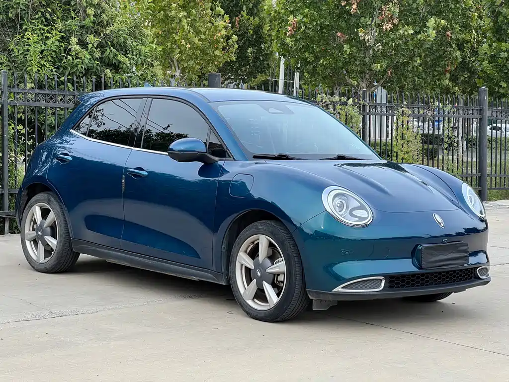 Euler Good Cat 2022 model 400km standard battery life premium type ternary lithium купить на сайте DeffCars