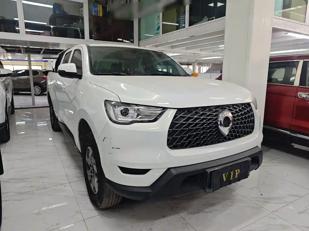 Cannon 2021 2.0T commercial version manual gasoline four-wheel drive elite long box GW4C20B купить на сайте DeffCars