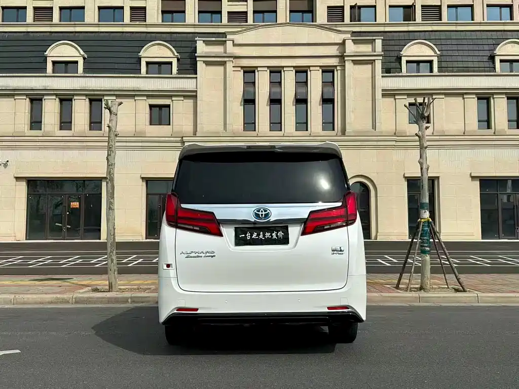 Alfa 2019 Shuangqing 2.5L Premium Edition купить на сайте DeffCars