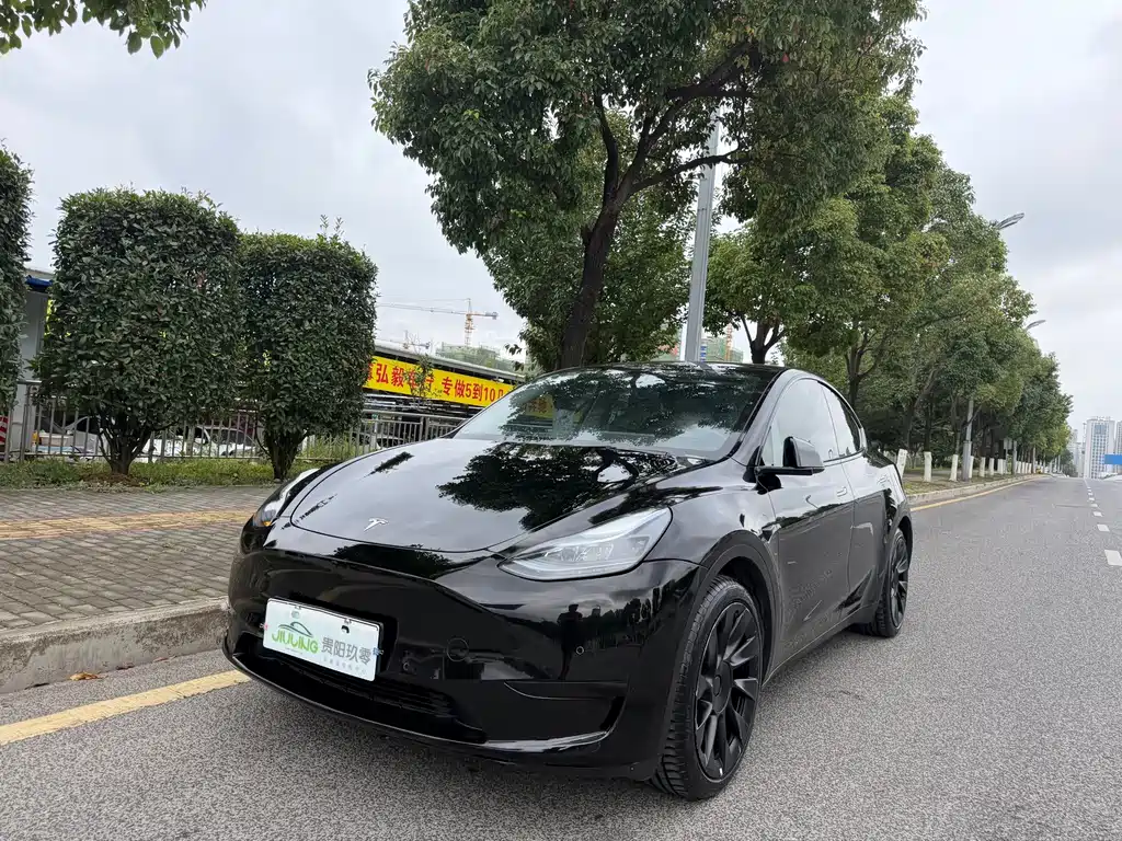Model Y 2022 rear-wheel drive version купить на сайте DeffCars
